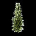Moldavite Besednice Jezkovna 12.58 g 59x24x11mm Angel Chime AA - InnerVision Crystals