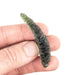 Moldavite Besednice Jezkovna 12.58 g 59x24x11mm Angel Chime AA - InnerVision Crystals
