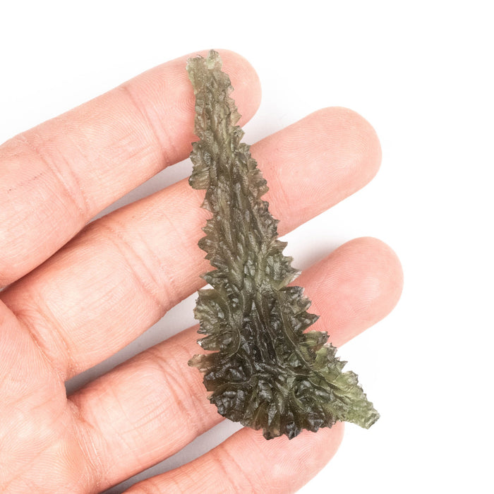 Moldavite Besednice Jezkovna 12.80 g 76x31x9mm Angel Chime AA - InnerVision Crystals