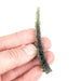 Moldavite Besednice Jezkovna 12.80 g 76x31x9mm Angel Chime AA - InnerVision Crystals
