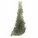 Moldavite Besednice Jezkovna 12.80 g 76x31x9mm Angel Chime AA - InnerVision Crystals