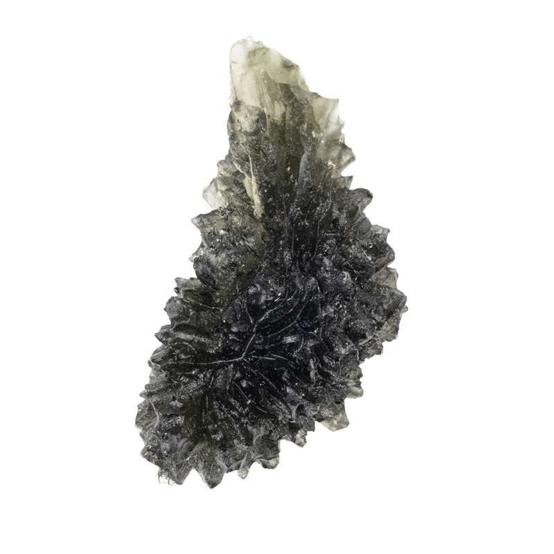 Moldavite Besednice Jezkovna 13.15 g 45x21x19mm AA - InnerVision Crystals