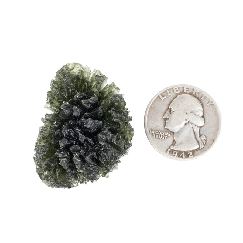Moldavite Besednice Jezkovna 19.20 g 38x31x20mm AA - InnerVision Crystals