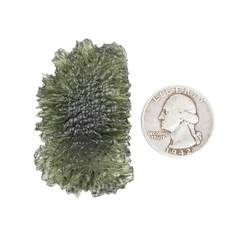 Moldavite Besednice Jezkovna 20.67 g 49x31x10mm AA - InnerVision Crystals