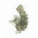 Moldavite Besednice Jezkovna 2.90 g 31x23x7mm A+ - InnerVision Crystals