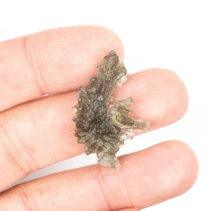Moldavite Besednice Jezkovna 2.90 g 31x23x7mm A+ - InnerVision Crystals
