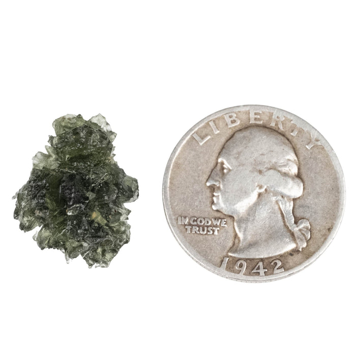 Moldavite - Besednice Jezkovna 2.95 g 22x15x14mm A+ - InnerVision Crystals
