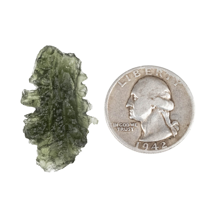 Moldavite - Besednice Jezkovna 3.63 g 33x20x8mm B+ - InnerVision Crystals