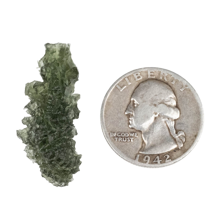 Moldavite - Besednice Jezkovna 4.05 g 34x13x11mm AA - InnerVision Crystals