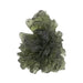 Moldavite - Besednice Jezkovna 4.87 g 25x19x13mm AA - InnerVision Crystals