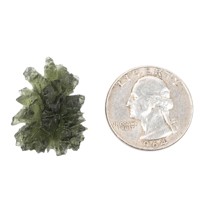 Moldavite - Besednice Jezkovna 4.87 g 25x19x13mm AA - InnerVision Crystals