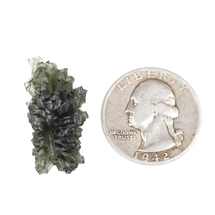 Moldavite - Besednice Jezkovna 4.93 g 29x16x14mm B+ - InnerVision Crystals