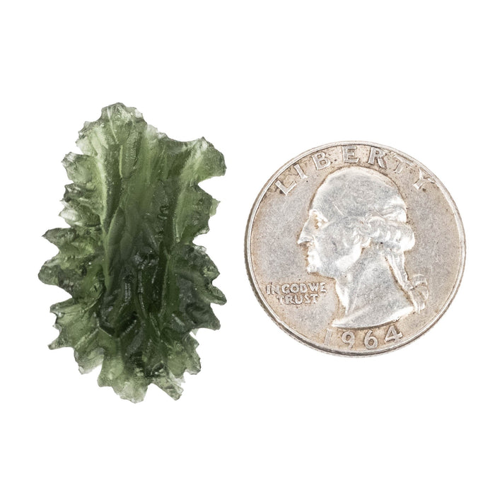 Moldavite - Besednice Jezkovna 4.99 g 31x20x10mm AA - InnerVision Crystals