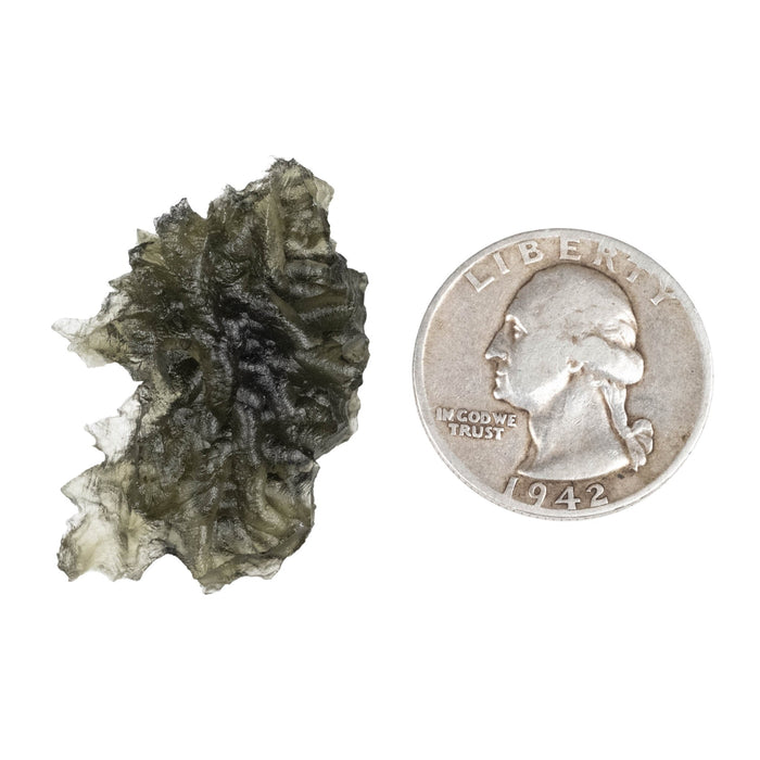 Moldavite - Besednice Jezkovna 5.36 g 36x25x6mm AA - InnerVision Crystals