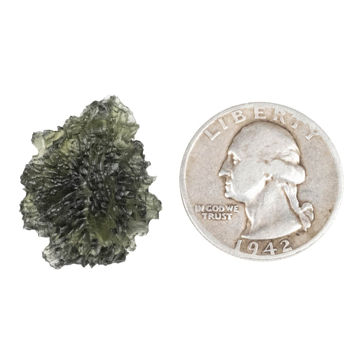 Moldavite - Besednice Jezkovna 5.55 g 26x20x15mm AA - InnerVision Crystals