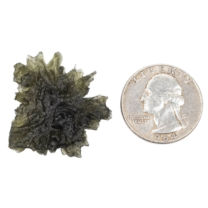 Moldavite - Besednice Jezkovna 5.99 g 30x30x10mm AA - InnerVision Crystals