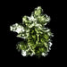 Moldavite Besednice Jezkovna 6.48 g 33x27x12mm AA - InnerVision Crystals