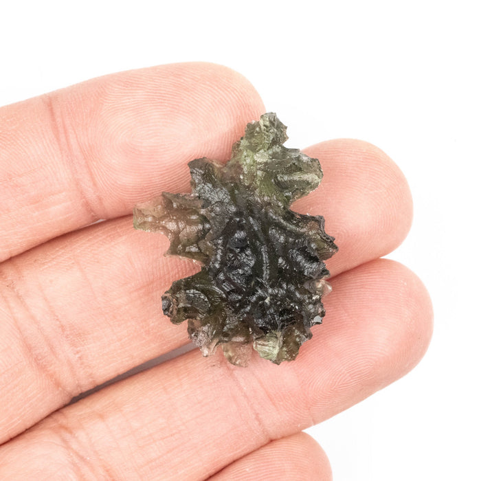 Moldavite Besednice Jezkovna 6.48 g 33x27x12mm AA - InnerVision Crystals