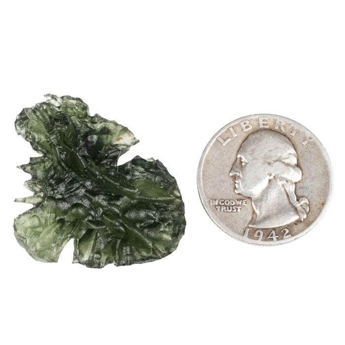 Moldavite - Besednice Jezkovna 7.40 g 35x28x9mm AA - InnerVision Crystals