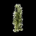 Moldavite - Besednice Jezkovna 7.44 g 47x15x13mm AA - InnerVision Crystals