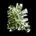 Moldavite Besednice Jezkovna 8.60 g 34x26x14mm AA - InnerVision Crystals