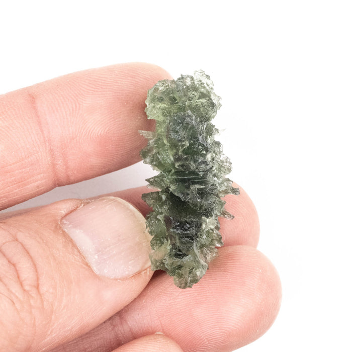 Moldavite Besednice Jezkovna 8.60 g 34x26x14mm AA - InnerVision Crystals