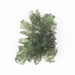 Moldavite Besednice Jezkovna 8.60 g 34x26x14mm AA - InnerVision Crystals