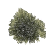 Moldavite Besednice Jezkovna 9.13 g 37x30x8mm AA+ - InnerVision Crystals
