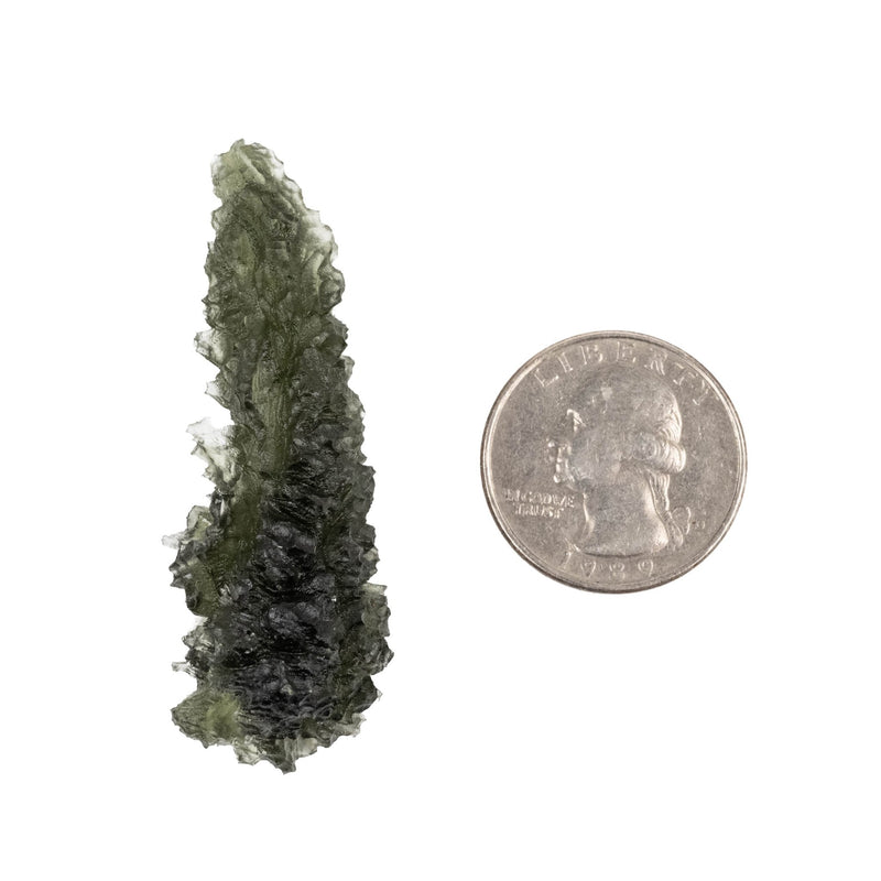 Moldavite Besednice Jezkovna AA 12.83 g 56x19x19mm - InnerVision Crystals