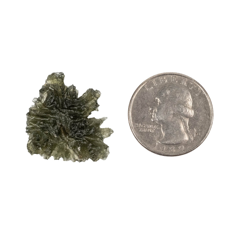 Moldavite Besednice Jezkovna AA 3.03 g 25x24x8mm - InnerVision Crystals