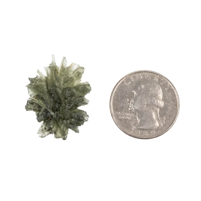 Moldavite Besednice Jezkovna AA 3.79 g 29x22x10mm - InnerVision Crystals