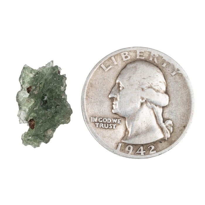 Moldavite Besednice Jezkovna B Grade 1.35 g 18x11x9mm - InnerVision Crystals