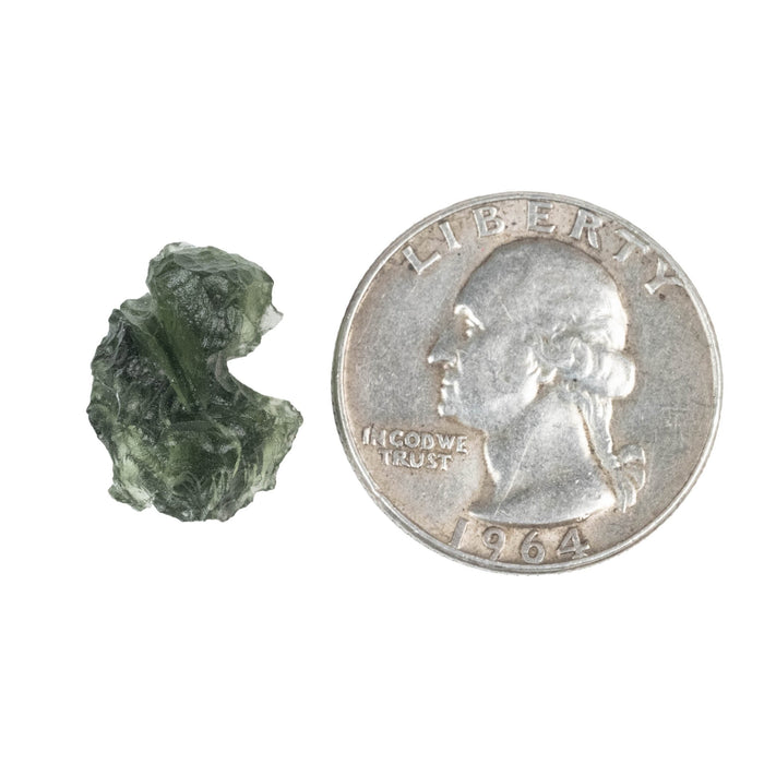 Moldavite Besednice Jezkovna B Grade 1.77 g 16x13x12mm - InnerVision Crystals