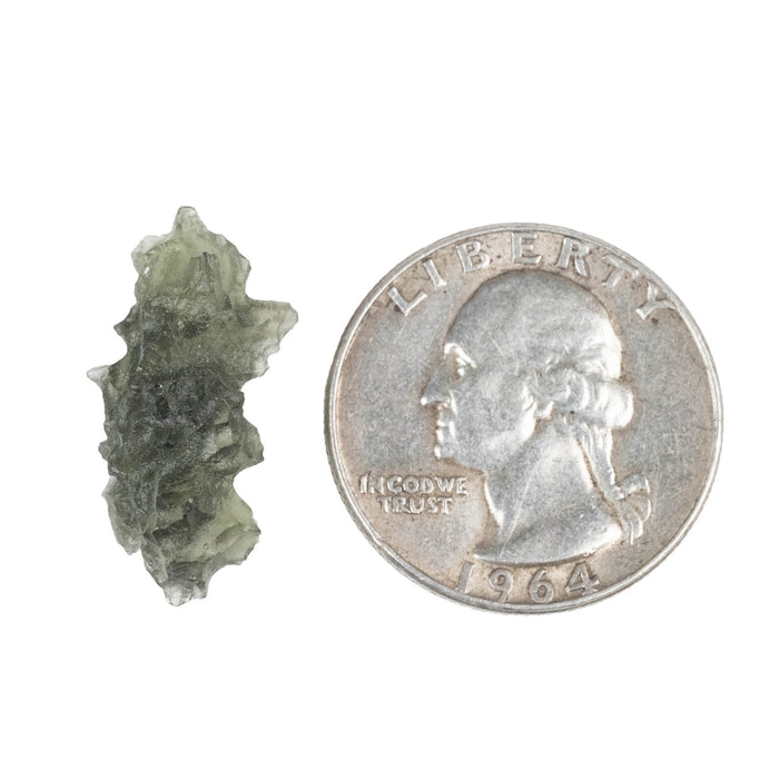 Moldavite Besednice Jezkovna B Grade 1.80 g 23x11x9mm - InnerVision Crystals