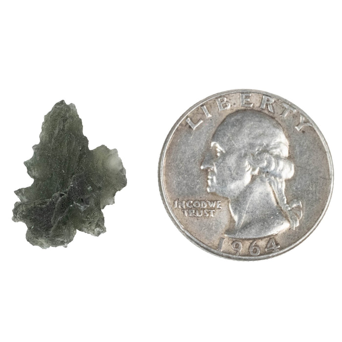 Moldavite Besednice Jezkovna B Grade 2.13 g 20x14x12mm - InnerVision Crystals