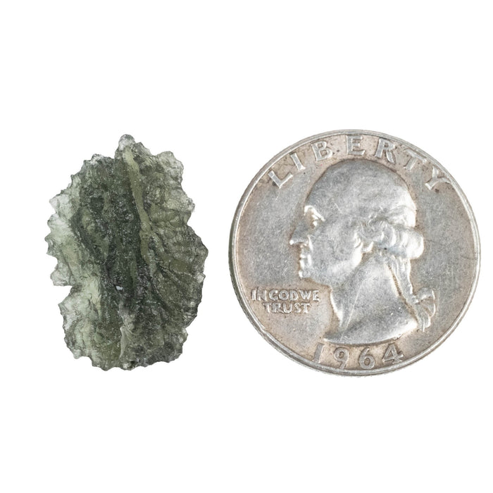 Moldavite Besednice Jezkovna B Grade 2.52 g 21x15x9mm - InnerVision Crystals