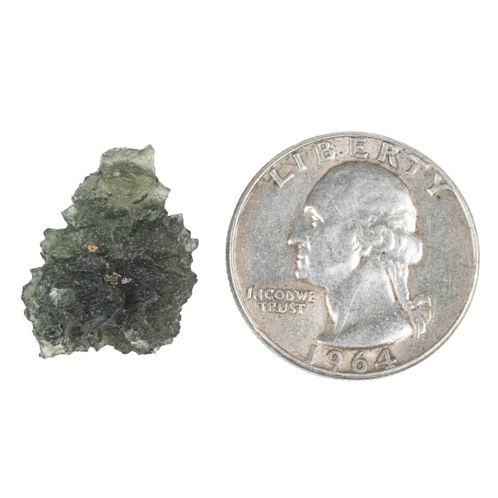 Moldavite Besednice Jezkovna B Grade 2.55 g 19x16x11mm - InnerVision Crystals