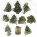 Moldavite - Maly Chlum AA+ 20.27 g Wholesale Lot - InnerVision Crystals