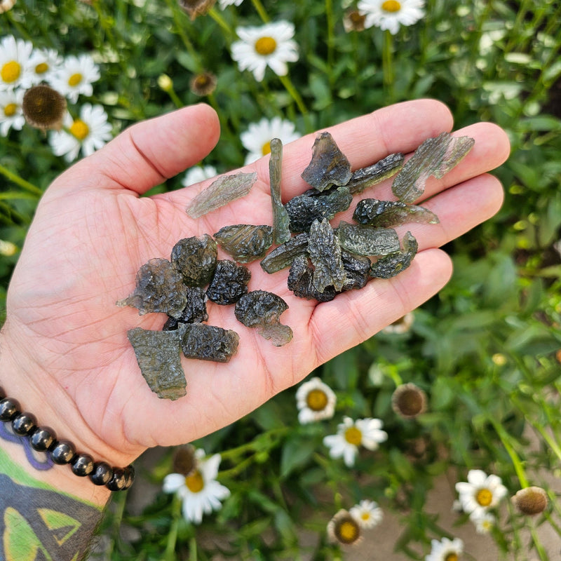 Moldavite Top Quality 0.5 - 3 grams | 50 g WHOLESALE LOT - InnerVision Crystals