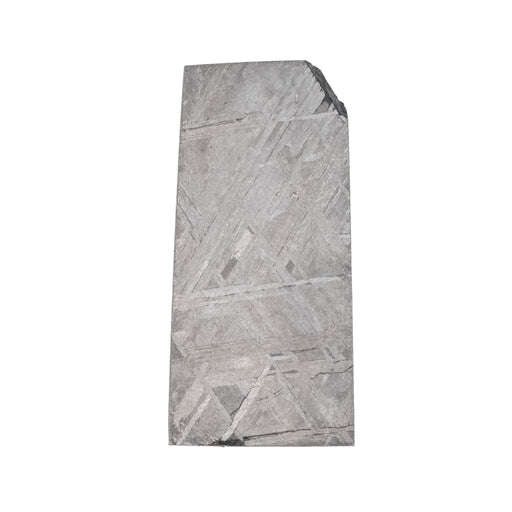 Muonionalusta Meteorite Slice 10.08 g 29x14mm - InnerVision Crystals