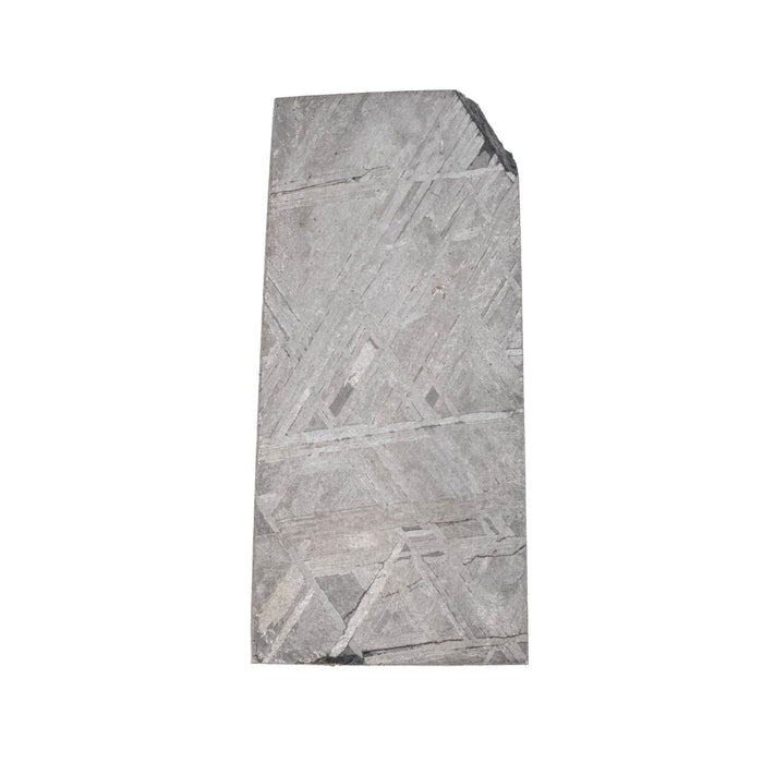 Muonionalusta Meteorite Slice 10.08 g 29x14mm - InnerVision Crystals