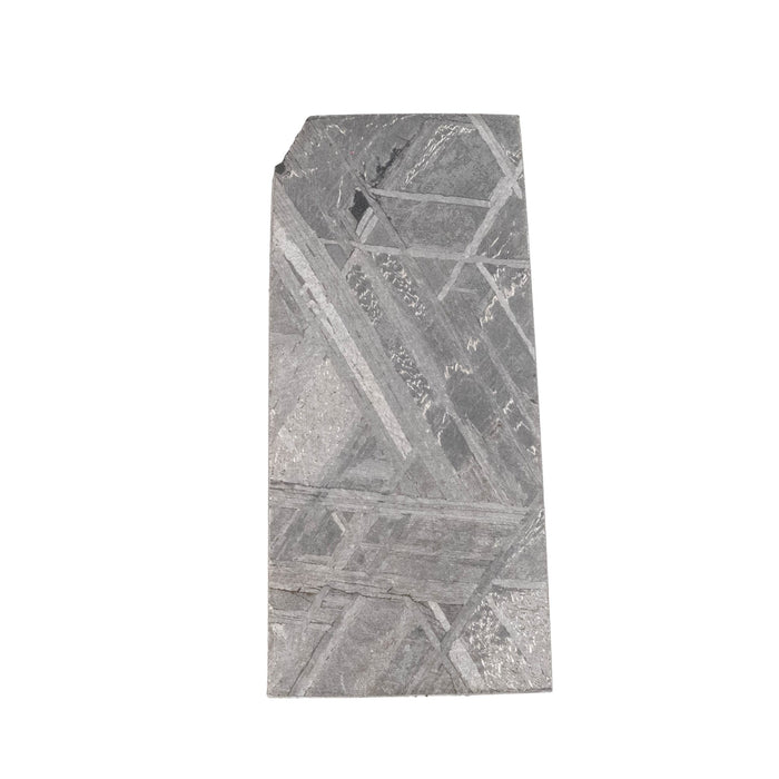 Muonionalusta Meteorite Slice 10.08 g 29x14mm - InnerVision Crystals