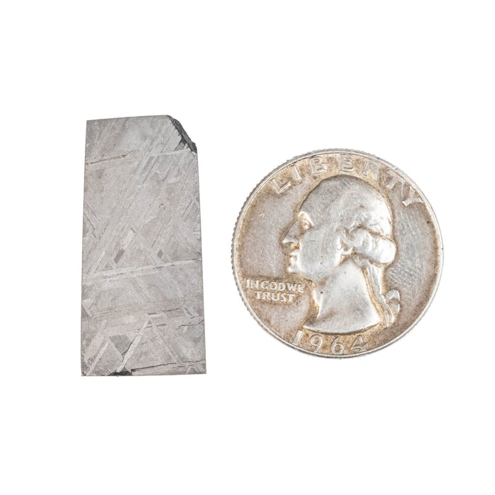 Muonionalusta Meteorite Slice 10.08 g 29x14mm - InnerVision Crystals