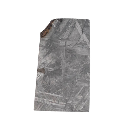 Muonionalusta Meteorite Slice 10.86 g 29x17mm - InnerVision Crystals