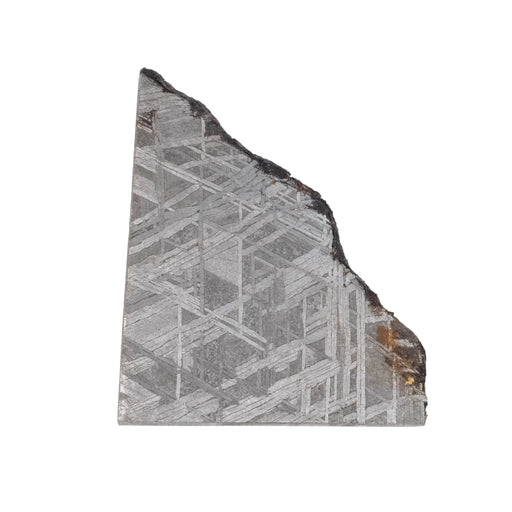 Muonionalusta Meteorite Slice 11.57 g 29x24mm - InnerVision Crystals