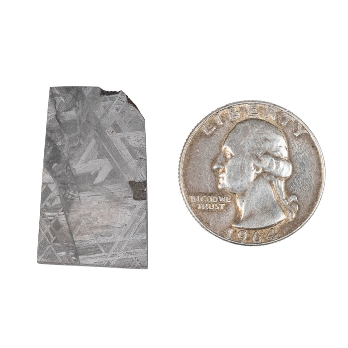 Muonionalusta Meteorite Slice 13.53 g 29x17mm - InnerVision Crystals