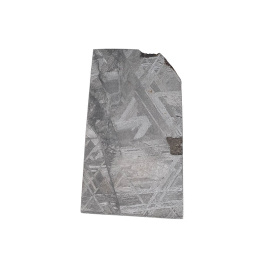 Muonionalusta Meteorite Slice 13.53 g 29x17mm - InnerVision Crystals