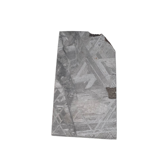 Muonionalusta Meteorite Slice 13.53 g 29x17mm - InnerVision Crystals