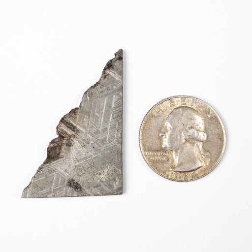 Muonionalusta Meteorite Slice 13.98 g 40x26mm - InnerVision Crystals