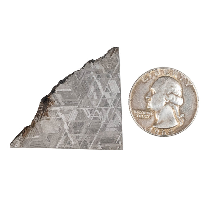 Muonionalusta Meteorite Slice 20.61 g 38x35mm - InnerVision Crystals